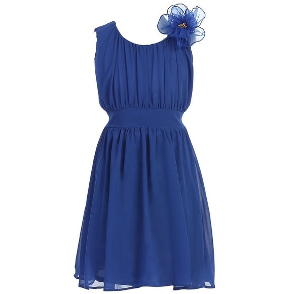 Little Girls Adorable Chiffon Pleated Elastic Waist Band Flowers Girls Dresses - Picture 1 of 4